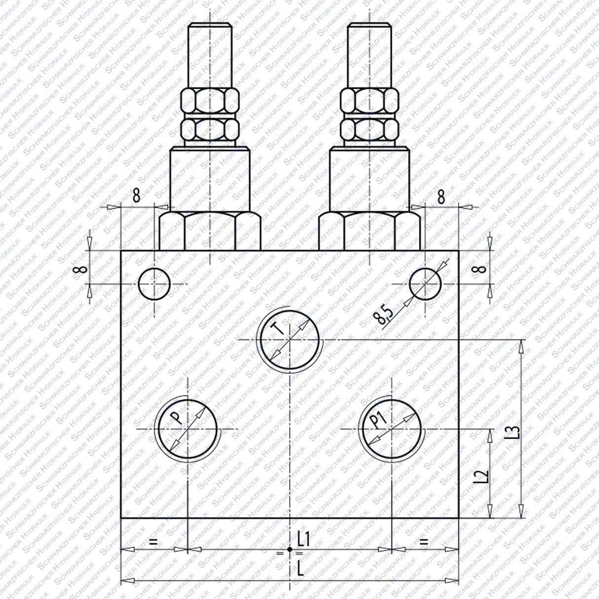 Hydraulik DBV Druckbegrenzungsventil doppelwirkend direktgesteuert VMPD mit Hutmutter von Schwarzfischer Hydraulik