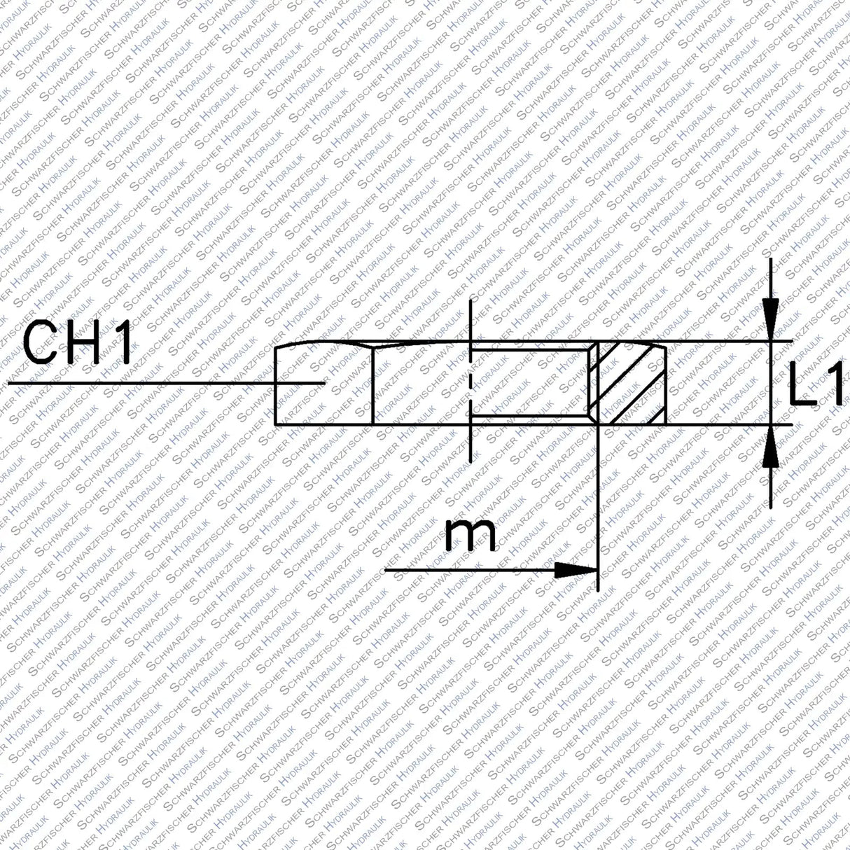 Kontermutter für Schottverschraubungen GM - LX von Schwarzfischer Hydraulik