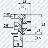 Hydraulik Winkel Schwenkverschraubung mit zölligem Gewinde Baureihe L von Schwarzfischer Hydraulik