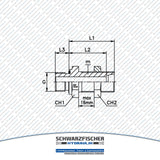 Gerade Hydraulik Einschraub - Schottverschraubung Baureihe L zölliges Gewinde von Schwarzfischer Hydraulik