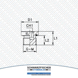 Hydraulik Verschlussschraube zöllig VSTI - Schwarzfischer Hydraulik