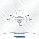 Hydraulik Reduzierverschraubung Doppelnippel BSP von Schwarzfischer Hydraulik