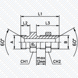 Hydraulik Schottverschraubung gerade zöllig von Schwarzfischer Hydraulik