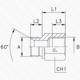 Verlängerungsadapter mit Innengewinde zöllig zylindrisch und Außengewinde zöllig konus von Schwarzfischer Hydraulik