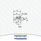 Hydraulik Verschlussstopfen BSP von Schwarzfischer Hydraulik