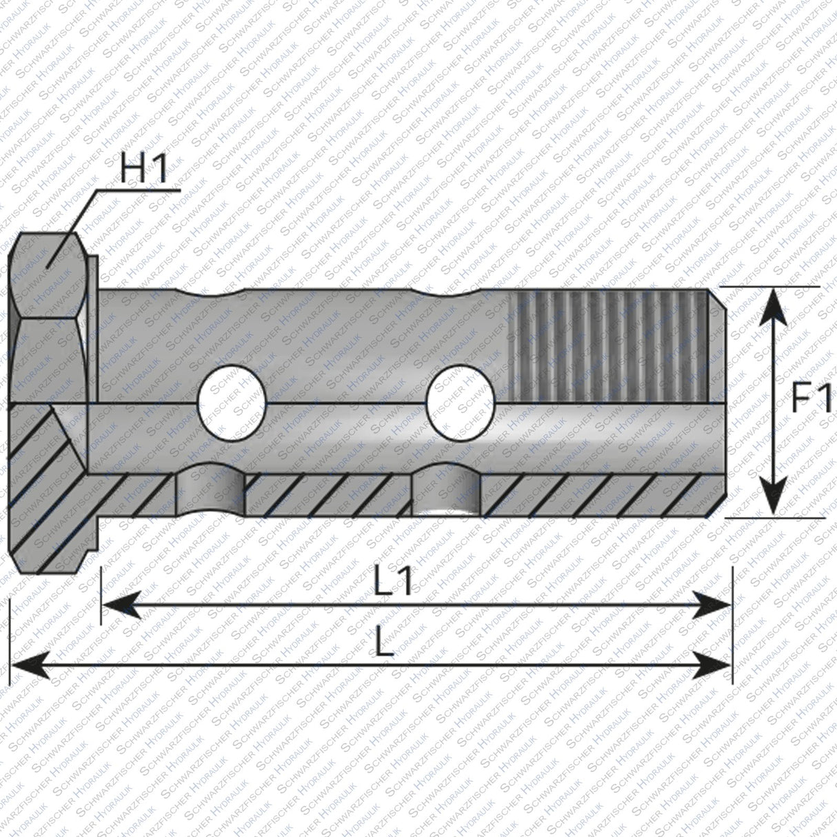 Hohlschraube doppelt von Schwarzfischer Hydraulik