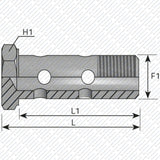 Hohlschraube doppelt von Schwarzfischer Hydraulik