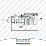 Hydraulik Steckkupplung Muffe Schott Außengewinde von Schwarzfischer Hydraulik