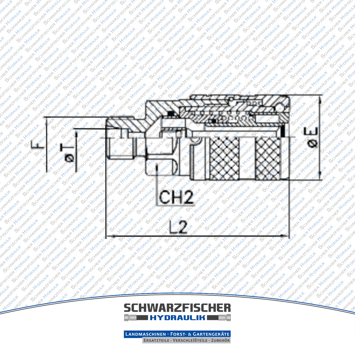 Hydraulik Steckkupplung Flachdichtend Muffe Flat Face Außengewinde von Schwarzfischer Hydraulik