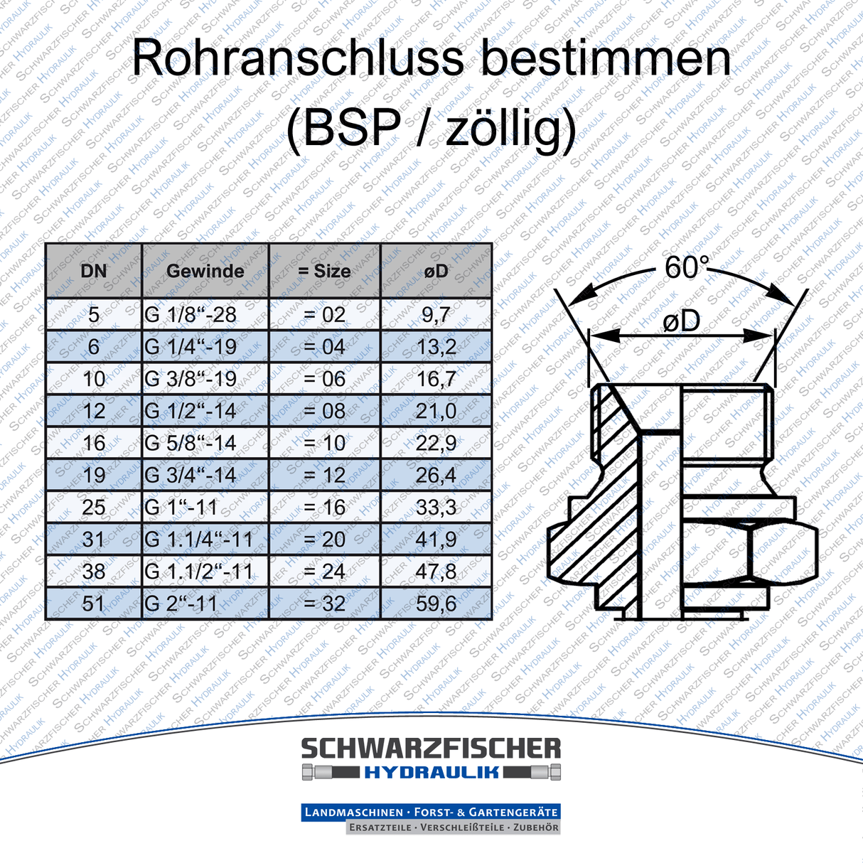 Hydraulikschlauch 2SC DN06 G1/8" AGR/AGR | Längen ab 5050mm von Schwarzfischer Hydraulik