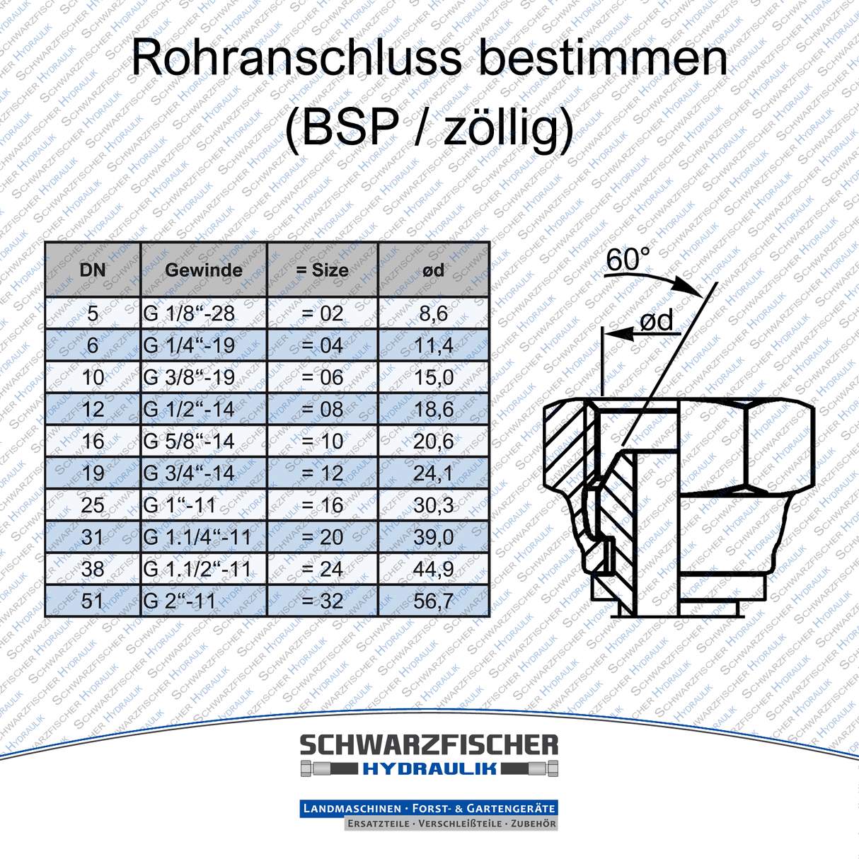 Hydraulikschlauch 2SC DN06 G1/4" DKR/DKR90 | Längen ab 5050mm von Schwarzfischer Hydraulik