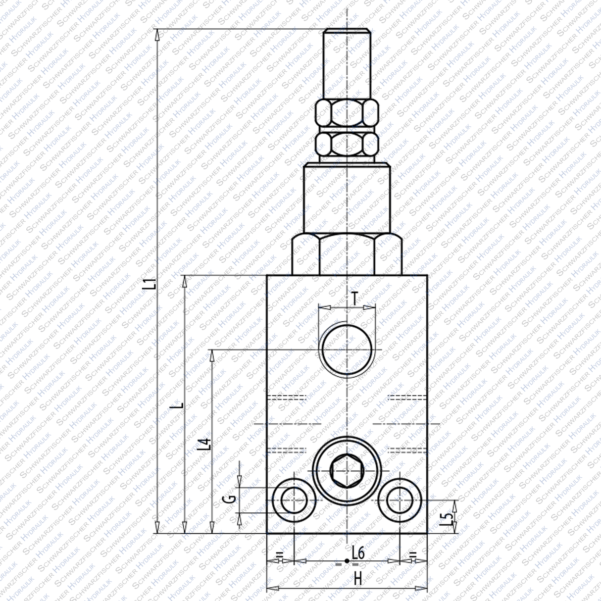 Hydraulik DBV Druckbegrenzungsventil VMP mit Hutmutter und Manometer Anschluss von Schwarzfischer Hydraulik