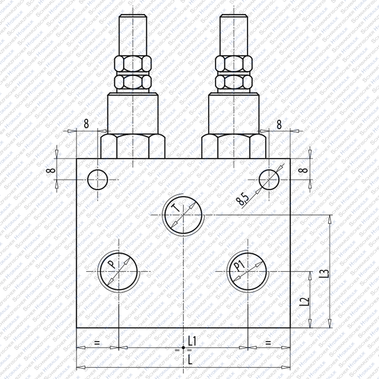 Hydraulik DBV Druckbegrenzungsventil doppelwirkend direktgesteuert VMPD mit Hutmutter von Schwarzfischer Hydraulik