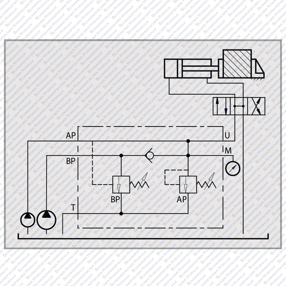 Hydraulik Ventil Abschaltventil VABP für Pumpen Nieder/Hochdruck von Schwarzfischer Hydraulik