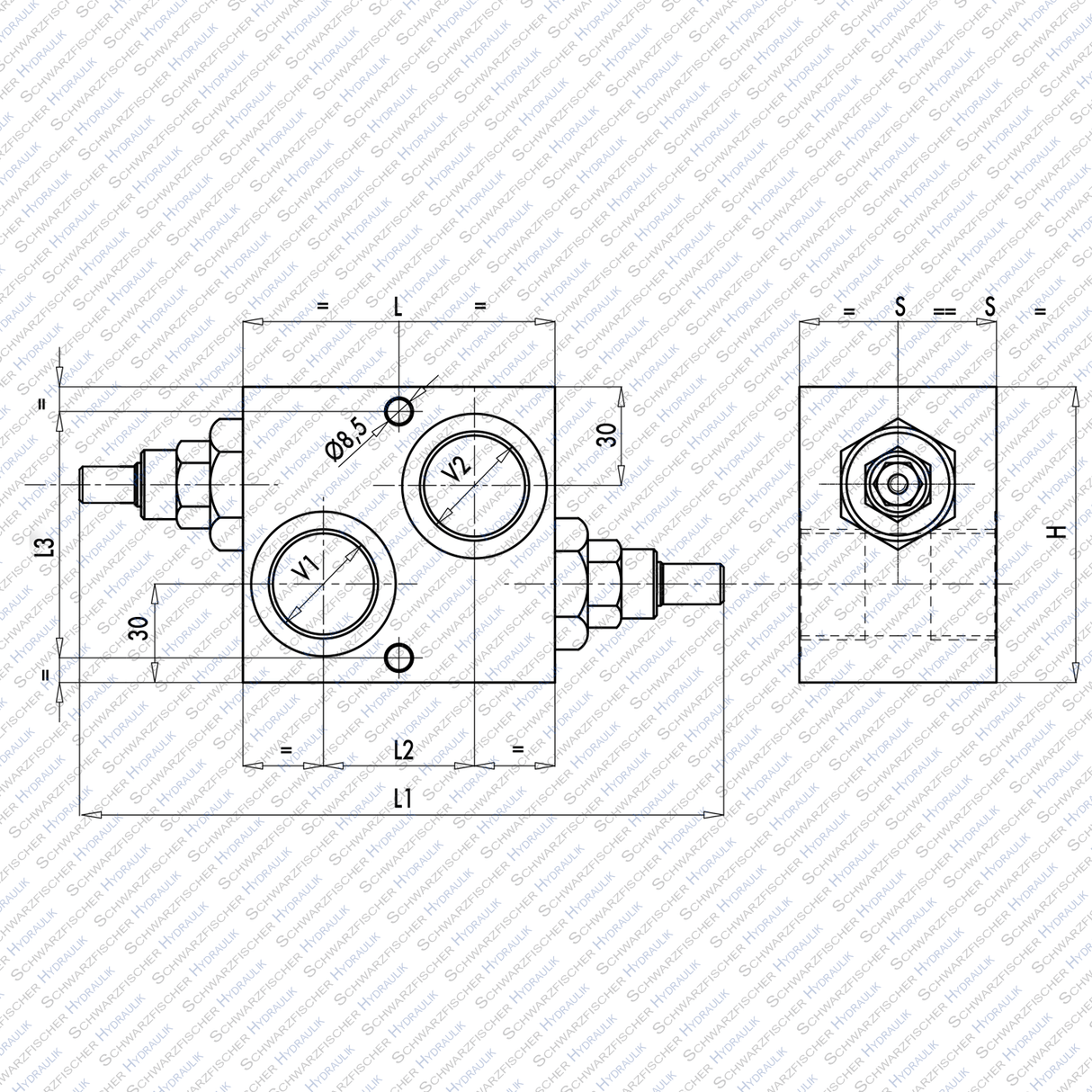 Hydraulik Schockventil doppelwirkend VAU100 Innengewinde G1“ von Schwarzfischer Hydraulik