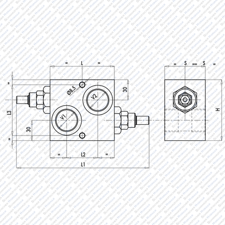 Hydraulik Schockventil doppelwirkend VAU100 Innengewinde G1“ von Schwarzfischer Hydraulik