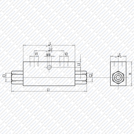 Hydraulik Sperrblock Ventil Rückschlagventil entsperrbar doppeltwirkend VBPDE von Schwarzfischer Hydraulik