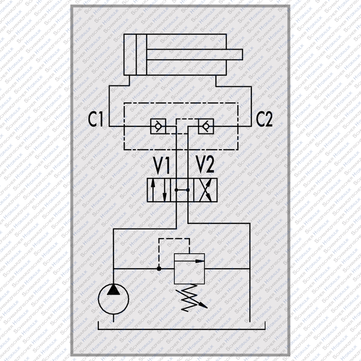 Ventil Hydraulik Sperrblock Rückschlagventil entsperrbar doppeltwirkend VBPDE von Schwarzfischer Hydraulik