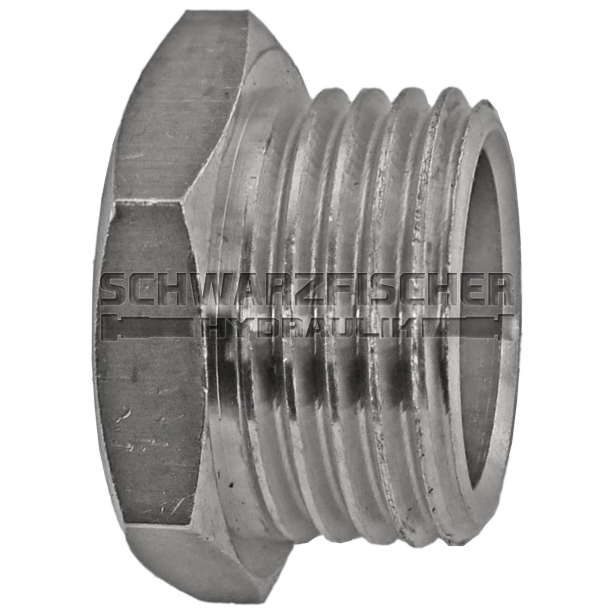 Verschlussstopfen mit Außensechskant in Edelstahl 1.4571 von Schwarzfischer Hydraulik