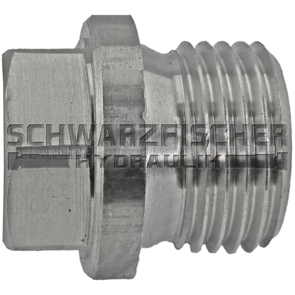 Verschlussstopfen mit Außensechskant und Bund in V4A von Schwarzfischer Hydraulik