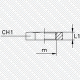 Kontermutter für Schottverschraubungen GM - LX von Schwarzfischer Hydraulik